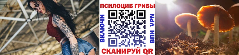гидра как зайти  Усинск  Псилоцибиновые грибы Cubensis 